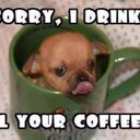 Michelle Shealy - @MichelleShealy1 - Twitter