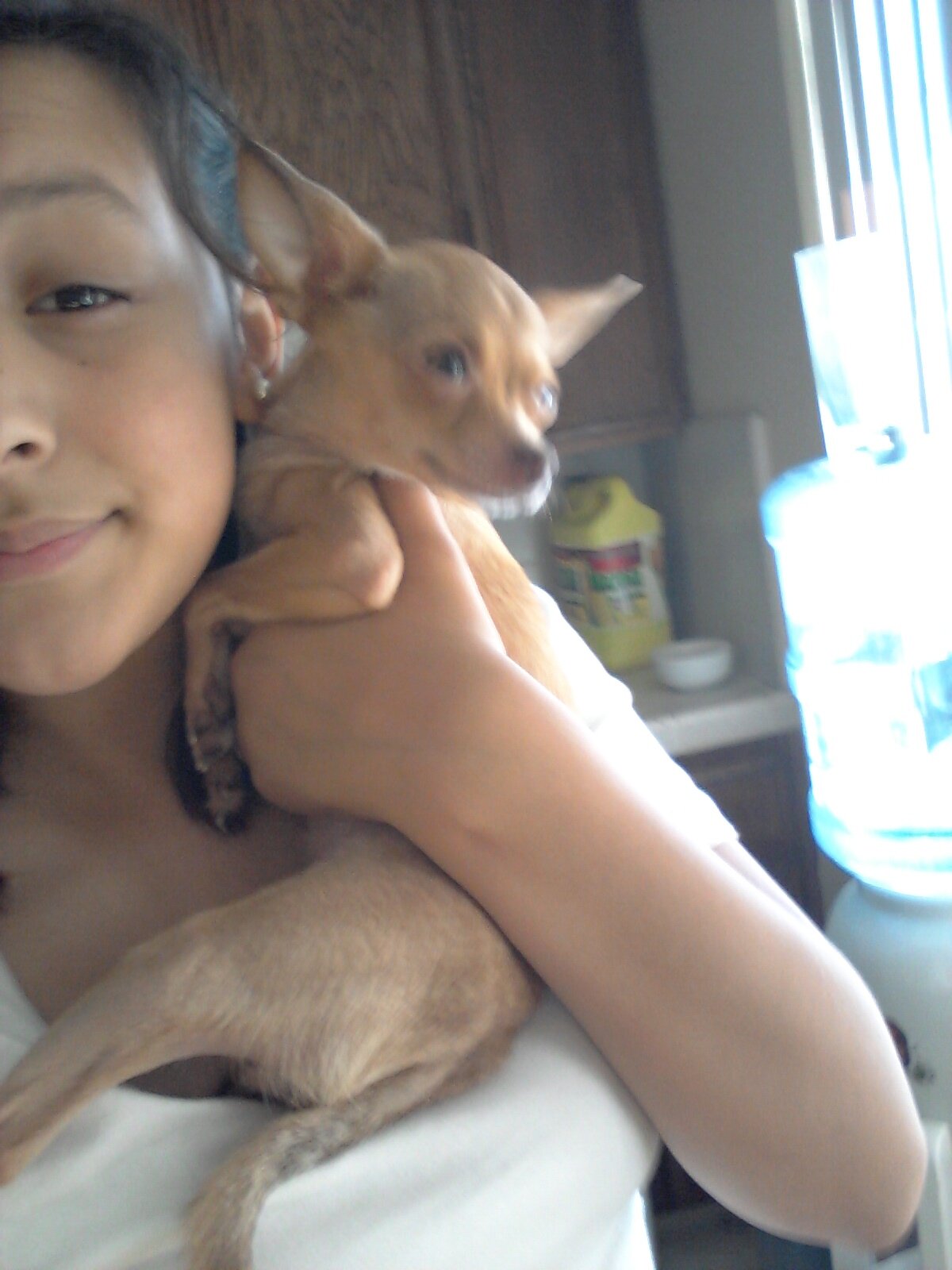 Hey im brittany im a freshman at willow glen high school. By da way im 14 nd i luv music nd im only in2 guyz