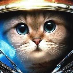 SoFFanya Profile Picture
