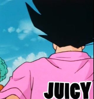 Tch, hello. I am Vegeta, the saiyan prince. That includes that moron Kakarot, his sons, and my two offspring. I'm a bastard, get over it.