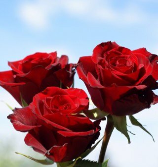 Aishahalazme's profile picture. A 7th Year Medical Student @ kuwait university , HSC .. اللهم لك الحمد حتى ترضى ولك الحمد إذا رضيت ولك الحمد بعد الرضى