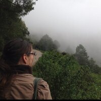 Alejandra Rivera Q. (@alebruje) 's Twitter Profile