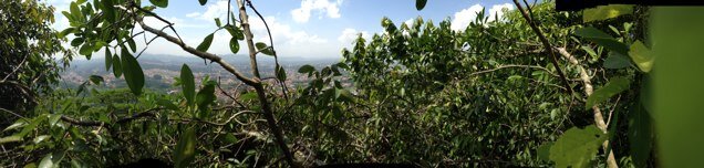 Gustavo_Kaisev's profile picture. 