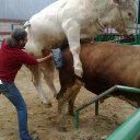 Ulises Chávez - @ulichez - Twitter