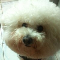 Jack Nao (@zhangzhao1978) Twitter profile photo