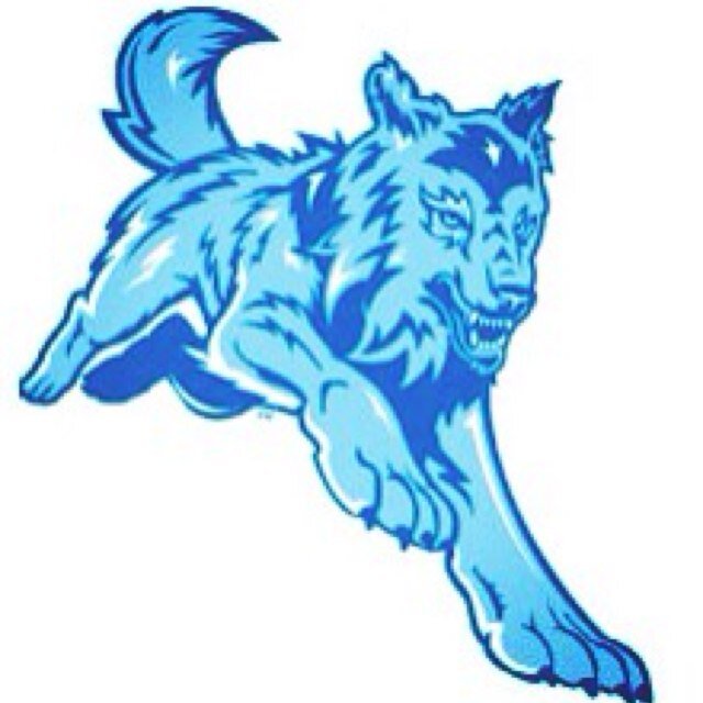 SSU Student Athlete Advisory Committee Follow @wolfpackwars on Instagram