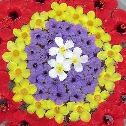 El derecho a la información, derecho fundamental que el Estado debe garantizar. NO A LA MANIPULACIÓN INFORMATIVA .