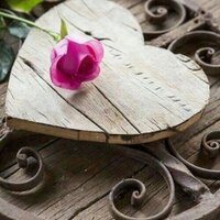 اميرة القلوب (@shooosh858) 's Twitter Profile