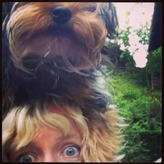 schmoodan's profile picture.