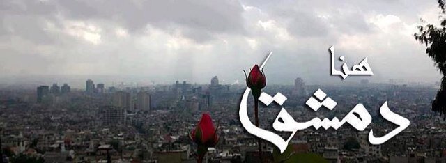 Manal S. El-Nasseryさんのプロフィール画像