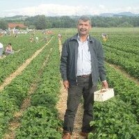 masum karaalp (@masumkaraalp) 's Twitter Profile