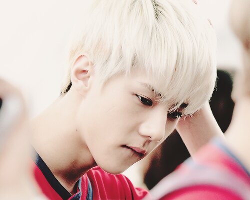 hunhan is real ㅎㅎ exo  infinite  beast  btob
