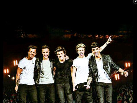 UnOfficial Indonesian Directioners fanpage! We are here to support 5 talented boys who lost the x-factor but won the world! :)