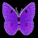 Elli Evans - @ElliEvans3 - Twitter