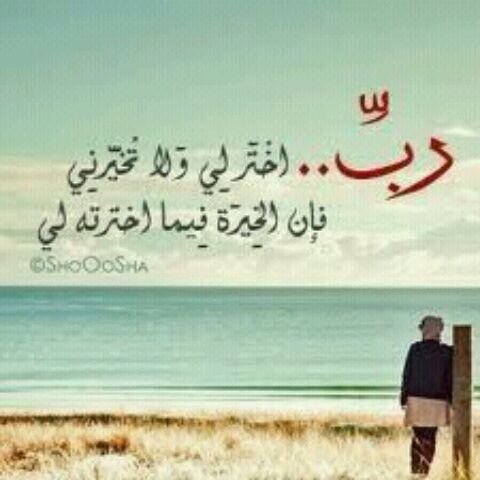 لا تجعل يومك يذهب بدون استغفار أو ذكر لله عز وجل ~ لا إله إلا الله محمد رسول الله ~