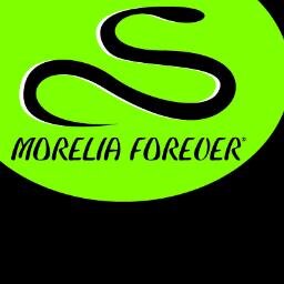 Professional breeder of Australian Pythons including all Morelia, Aspidites and Antaresia.
Specialist Diamond Python and Green Tree Python Breeding Projects.