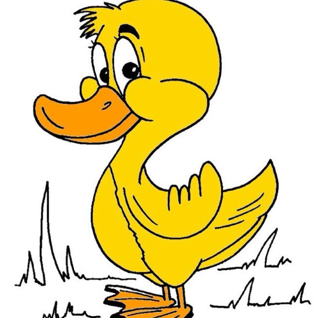 UCanard's profile picture. • «C'est la danse des canards ,
qui en sortant de la marre ,
se secouent le bas des bras , 
et Follow Moi »