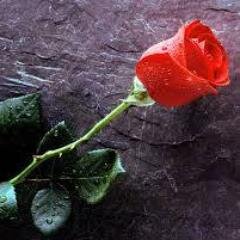 واخيرا واخيرا صار عندنا إجازه