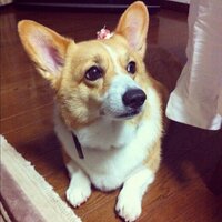 louis (@ruikimura) 's Twitter Profile