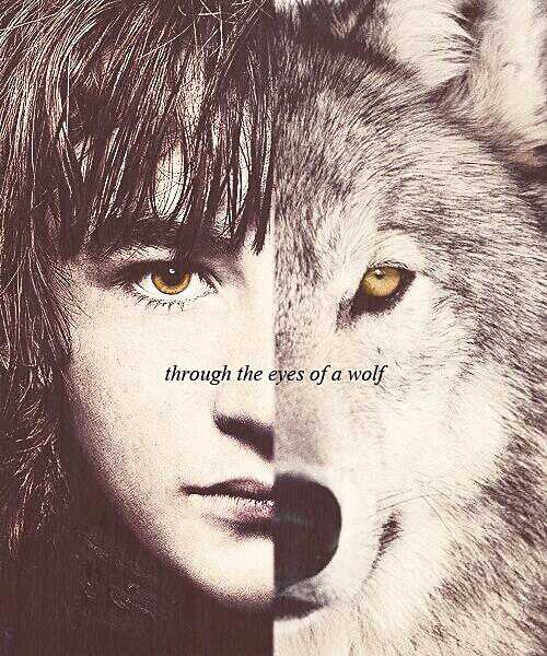Bran de la Casa Stark I Príncipe heredero de Invernalia I Buscando el cuervo de tres ojos junto a Hodor,Jojen y Meera Reed I #SFW