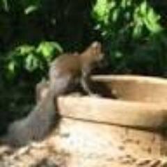 visiteuse - j'entre sur la pointe des pieds...