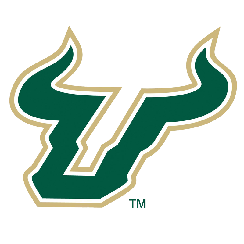 NelsonUSF's profile picture. 