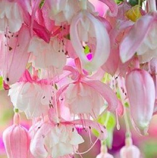 mugzby1's profile picture. 