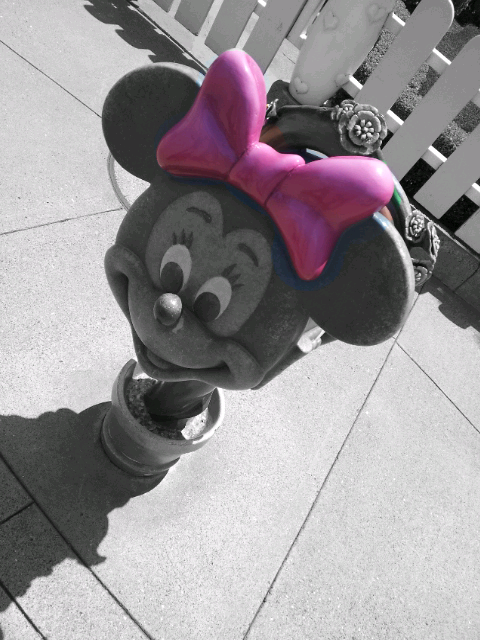 marisuta12's profile picture. Disney♡スポーツ♡なつ♡音楽♡お酒♡みなとみらい♡湘南