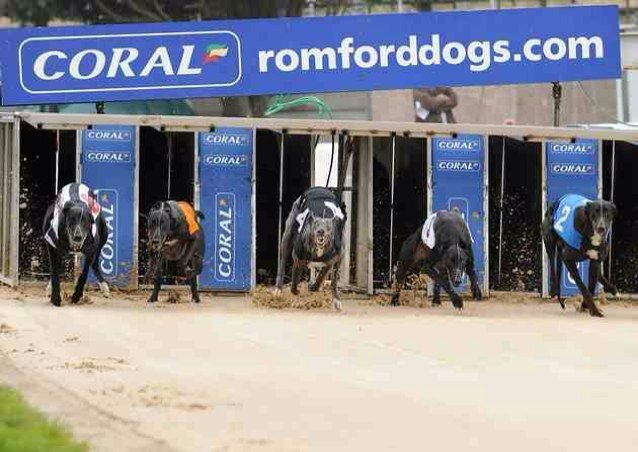 Bringing you the latest news and updates from Romford Dogs. Daily tips given out for each session. We always follow back!