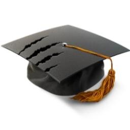 Custom Essay Writing Service