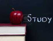The page is all about the facts of studying,school and your brain. You can submit your tweets or unseen facts at belikeb32@gmail.com.;)