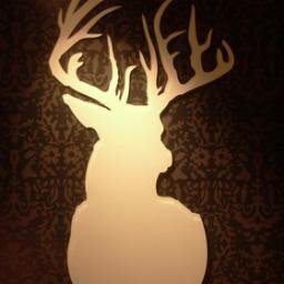 Taxidermia Integral Guayaquil - T.I.G.