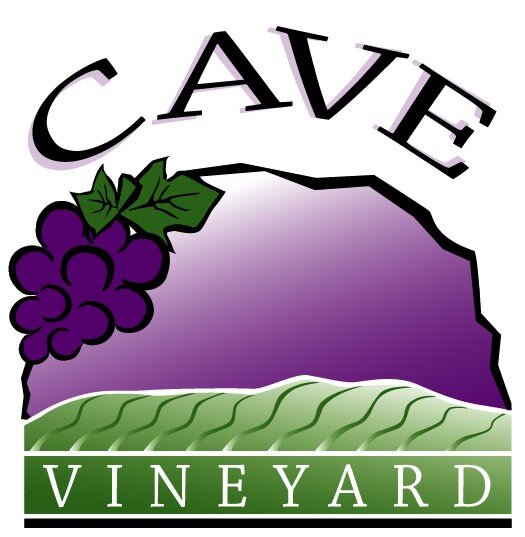 Our family's winery is located on top of a natural cave!  Taste award winning wines and then picnic inside Saltpeter Cave!