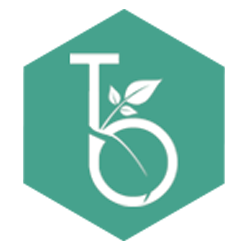 Online publishers for technology news, reviews and roundups.