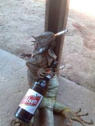 fumo predra açim q se fala ne?