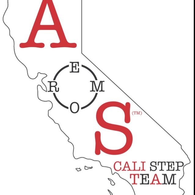 California Professional Step Team of Art of Stepping™ - is a Professional Step Team that learns stepping through mathematical formulas