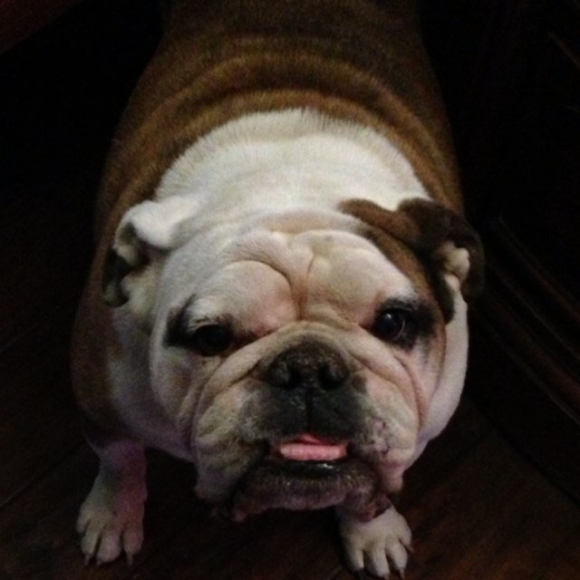 stunnawoodworth's profile picture. 