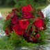 Brian kirkby (@brianflorist) Twitter profile photo