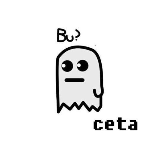 seguedevooolta's profile picture. 