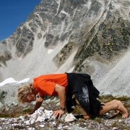 noshsreqd's profile picture. 