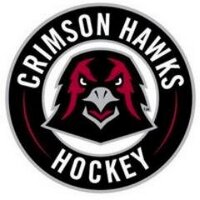 IUP Hockey Club (@iuphockeyclub) 's Twitter Profile Photo