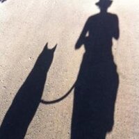 Pam Barnsley (@pambarnsley) 's Twitter Profile
