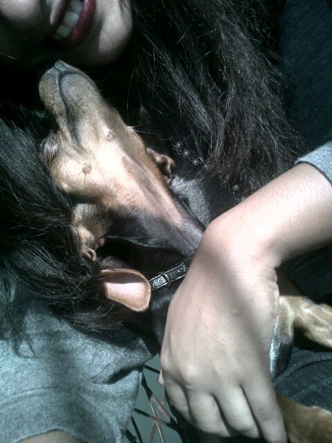 Soy sessy :3 ♥