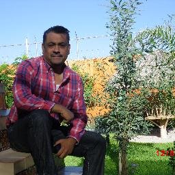 Asesor Consultor de empresas de Agroquimicos