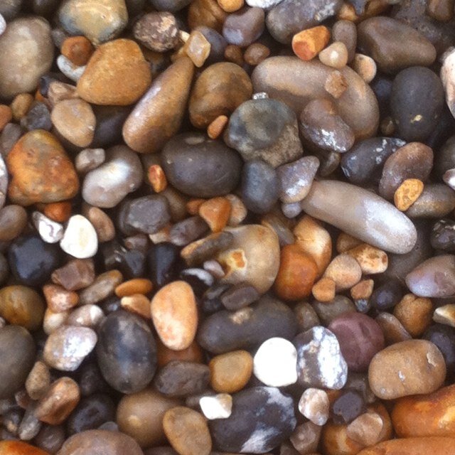 eddie_breen41's profile picture. 