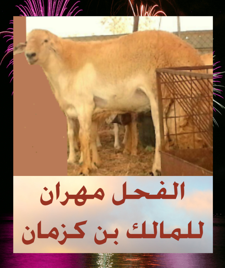 ﻻ اله الا انت سبحانك اني كنت من الظالمين