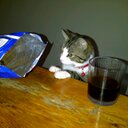 brad dillon - @braddillon3 - Twitter