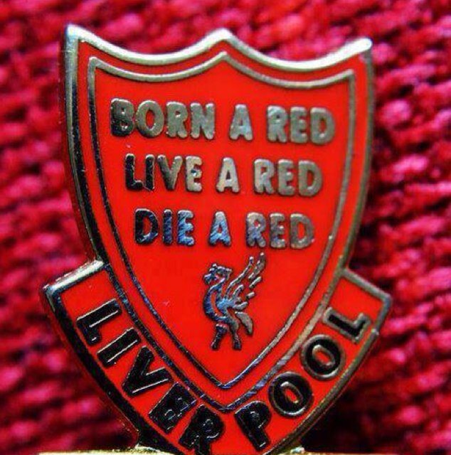 richiewardle69's profile picture. 