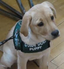 A social club for the blind and partially sighted in Cheshunt and Hoddesdon Hertfordshire.