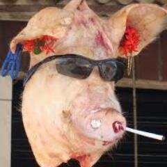 Só mais um louco !